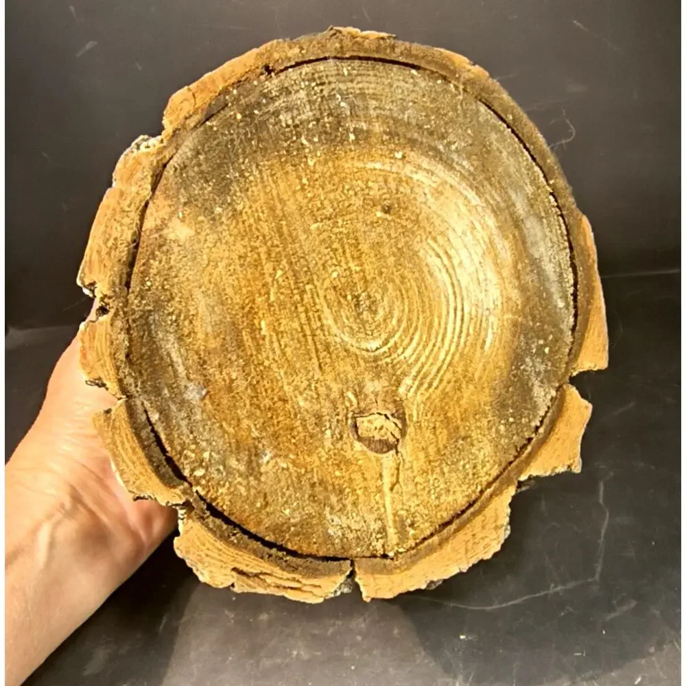 1826.  Birch Artisanal Planter Candle Holder Wedding Decor